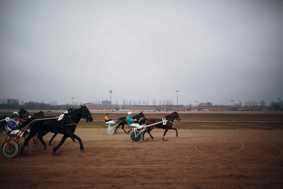 Kentucky Derby 2024 Odds: Most modern Lines for Top Contenders and Dim Horses