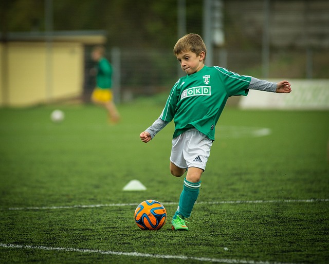 2024 School Soccer having a wager document: ‘Bettors can not earn enough of the Buckeyes’